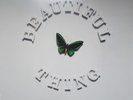 The Stone Roses Beautiful Thing 12