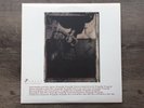 Pixies — Surfer Rosa 180 gram LP