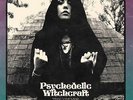 PSYCHEDELIC WITCHCRAFT - The Vision (NEW*LIM.250 PURPLE VINYL*WUCAN*MOUNT SALEM)