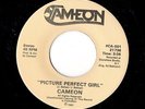 Modern Soul Boogie 45 - Cameon - Picture Perfect Girl - mp3 - obscure