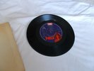 T. REX  7
