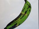 The Velvet Underground & Nico - Unripened - Vinyl LP