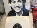 Iggy Pop - Lust For Life LP RCA Victor ?AFL1-2488, US 1977