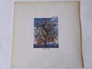 TALK TALK - SPIRIT OF EDEN - LP - 1988