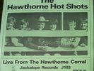 The Beach Boys Hawthorne Hot Shots EP 2 records p/s rarities #79 of 500