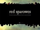 Fear Is Excruciating Buttherein Lies the Answer - Red Sparowes LP
