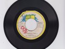 THE LAMENT OF AFRICAN PEOPLE  -  FUNKY BROWN & INNER CIRCLE (72 REGGAE ROOTS 7