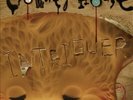 Intriguer [LP] by Crowded House.