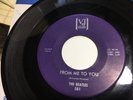 RARE BEATLES VJ 581 PURPLE LABEL 45  
