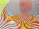 The Flaming Lips-Peace Sword  Vinyl / 12