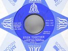 Prince & Princess 45 Stick Together / Insanity   Bell VG+ / VG