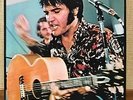 Elvis Presley Panel Deluxe 1971 Japan ONLY 2LP 16