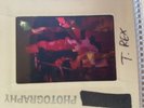 marc bolan slides