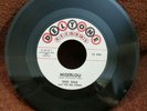 Dick Dale & Del-Tones Deltone 5019 