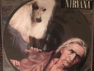 Nirvana/ Jesus Lizard 'Oh The Guilt' 7
