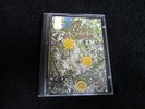 THE STONE ROSES - THE STONE ROSES - 1991 MINIDISC - ORE MD 502 -