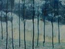 Camera Obscura: Desire Lines LP