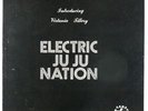 Plunky & Oneness Of Juju - Electric JuJu Nation LP - N.A.M.E. Brand VG+