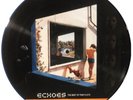 PINK FLOYD Echoes PICTURE DISC rare promo Vinyl LP