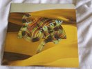 Django Django-Debut Album-Vinyl LP-2012