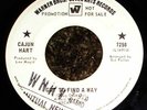 Excellent 1960s PROMO Soul 45 - CAJUN HART 