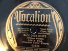 Vocalion 03250 CASEY BILL Back Door Blues 