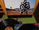 Pink Floyd- Delicate Sound Of Thunder- Doppelvinyl LP- 1988- EU