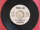 THE GROOVERS   I'm A Bashful Guy   RARE northern soul (original label) TERI DE $
