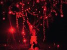 SOPHIE HUNGER - THE DANGER OF LIGHT (+CD) 3 VINYL LP + CD NEU