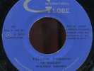 Milton Henry - Fallow Fashion JA Globe International 7