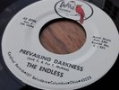 Endless - Prevailing Darkness orig 7