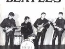 Beatles,The - Take Good Care Of My Baby (One Sided Single - Demo Disc)