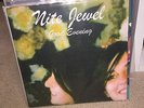 OG NM Nite Jewel Good Evening Vinyl Caribou Glass Candy Animal Collective LP
