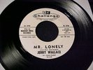 JERRY WALLACE Little Miss Tease/Mr Lonely TEEN ROCKER 45 CHALLENGE Promo HEAR