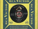 JIMMY DELL SHE WONT PET TEENY WEENY ROCKABILLY BOPPER 45 RPM RECORD