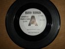 THE BUTTERFLYS 'GOOD NIGHT BABY' RB10 009 RED BIRD RECORDS 1964 US PROMO COPY