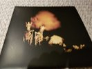 Pearl Jam Riot Act vinyl - original first pressing