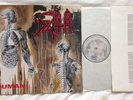 Death - Human LP  1.Press 1991  Bolt Thrower Entombed Morbid Angel Carnage Sadus