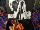 ORGASMIC  IGGY & THE STOOGES   RAW POWER '73 RAW & WILDLY CRUDE DOCUMENT ON FIRE