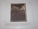 Pixies - Surfer Rosa 180 Gram Vinyl LP Sealed
