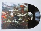 BANCHEE Thinkin LP REPRESS 2011 GERMNANY RARE HARD ROCK SIR LORD BALTIMORE