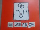 SEBADOH The Sebadoh Vinyl LP WIGLP 57