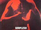 GODFLESH - A World Lit Only By Fire - Vinyl (LP)