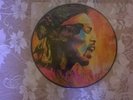JIMI HENDRIX....PURPLE HAZE (I.O.W.1970) (  PIC DISC LP)