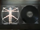 LEEWAY born to expire LP sxe nyhc cro mags madball judge warzone biohazard