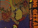 King Gizzard and the Lizard Wizard Willoughby's Beach 10
