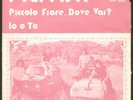 I TEPPISTI - RARISSIMO 1° 45 DEI TEPPISTI DEI SOGNI - PICCOLO FIORE DOVE VAI  ?