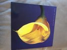 SWANS THE BURNING WORLD  UK VINYL 1989 A1B1 UNPLAYED