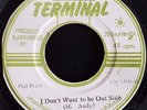 HORACE ANDY - I Don't Want To Be Out Side / Version  (TERMINAL) VG+