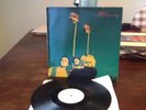 MIAMI LP - The Gun Club - NM Vinyl - Rare Original 1982 - German 204977 Animal
